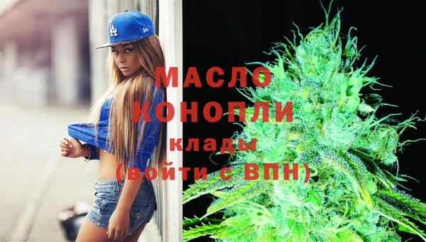 индика Арсеньев