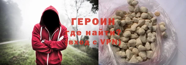 индика Арсеньев