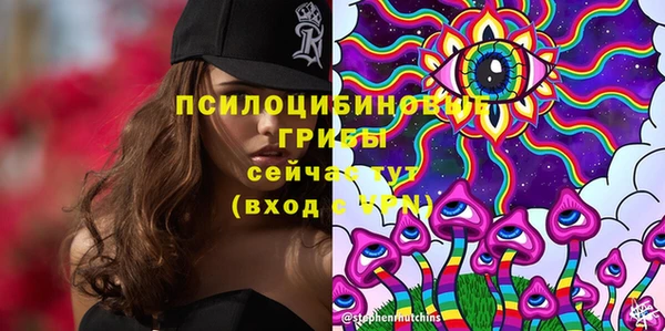 шишки Белокуриха