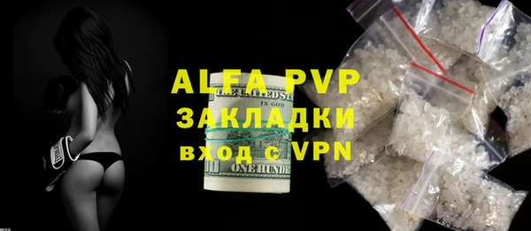 шишки Белокуриха