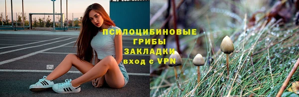 индика Арсеньев