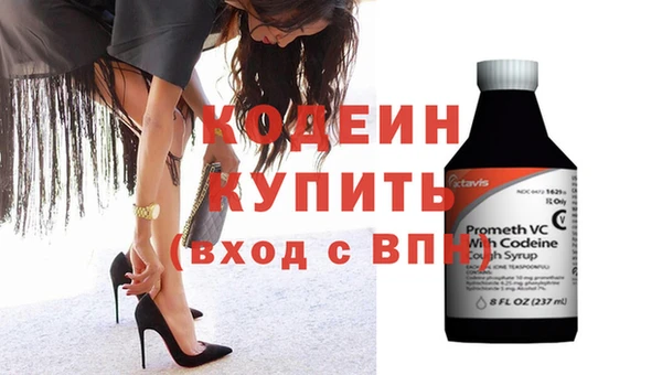 индика Арсеньев