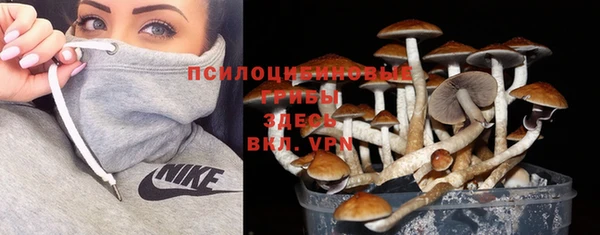 индика Арсеньев