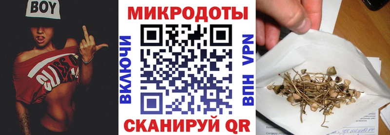Псилоцибиновые грибы Psilocybe  Кашин 